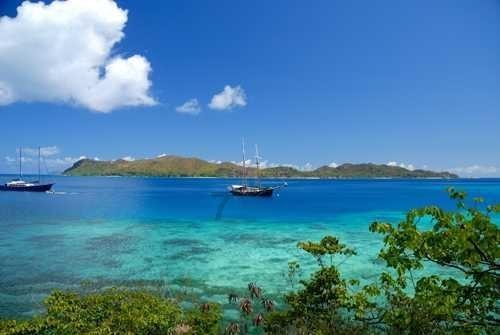 专业问答平台_有问必答_鲜辣椒怎么腌才不会坏-鲜辣椒怎么腌才不会坏官方网站
